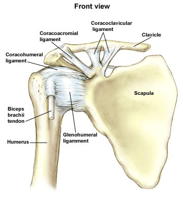 Los Angeles, West Hollywood, Beverly Hills Chiropractor Dr. Nick Campos Shoulder